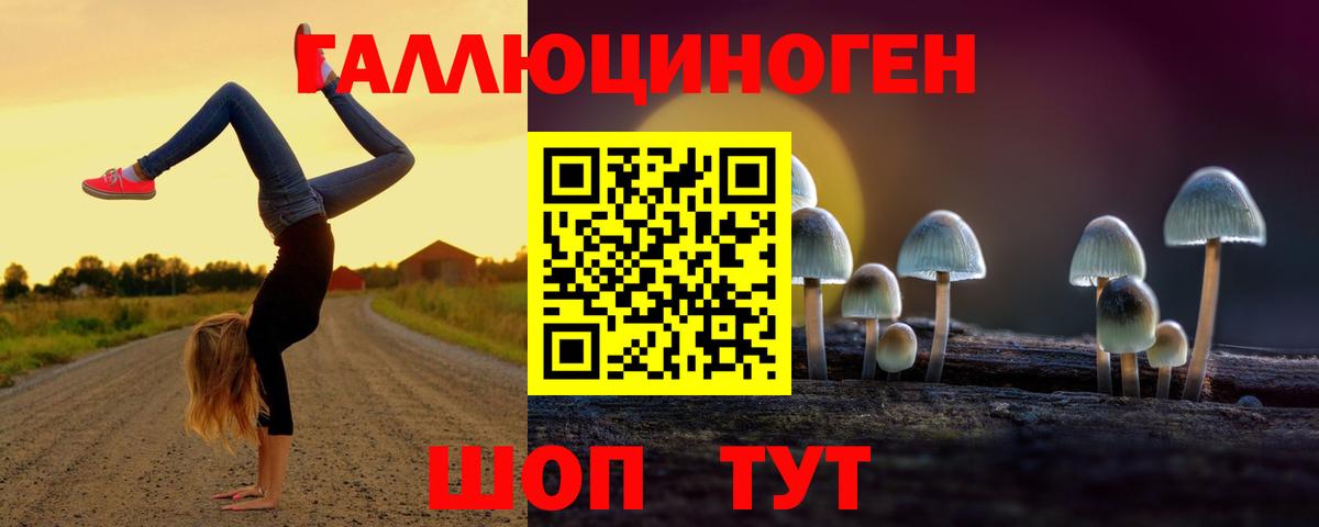 Киров  Галлюциногенные грибы Psilocybine cubensis  Вход с VPN 